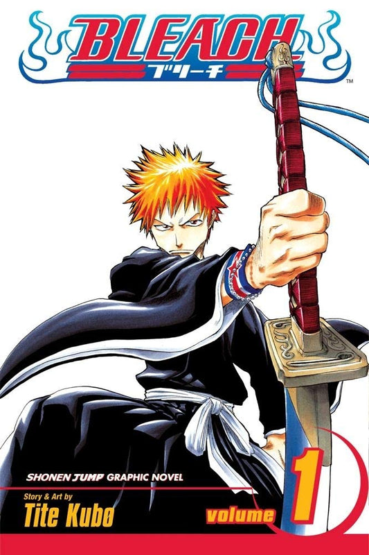 Bleach Vol. 1