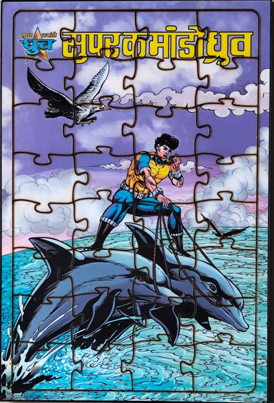 Dhruva Dolphins Puzzle