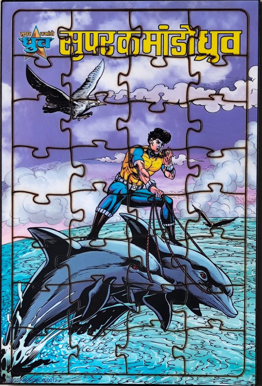 Dhruva Dolphins Puzzle