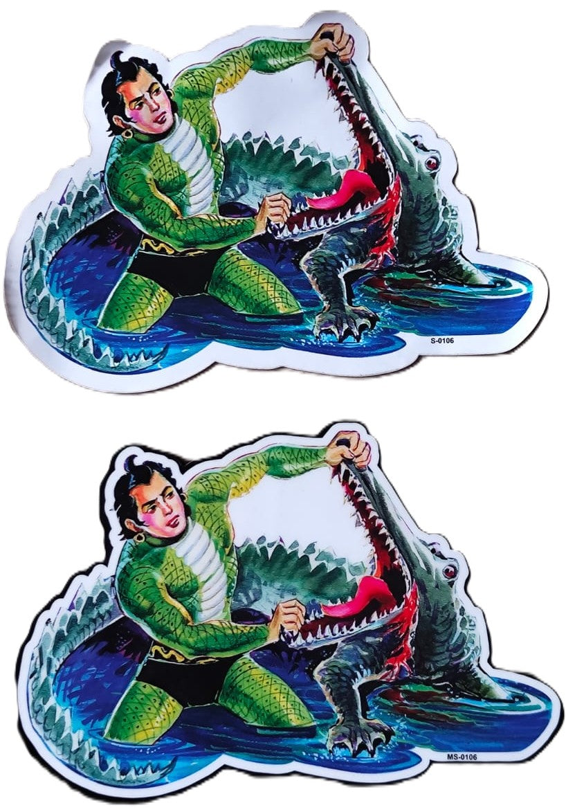 Nagraj Magnetic and Paper Sticker Combo 27