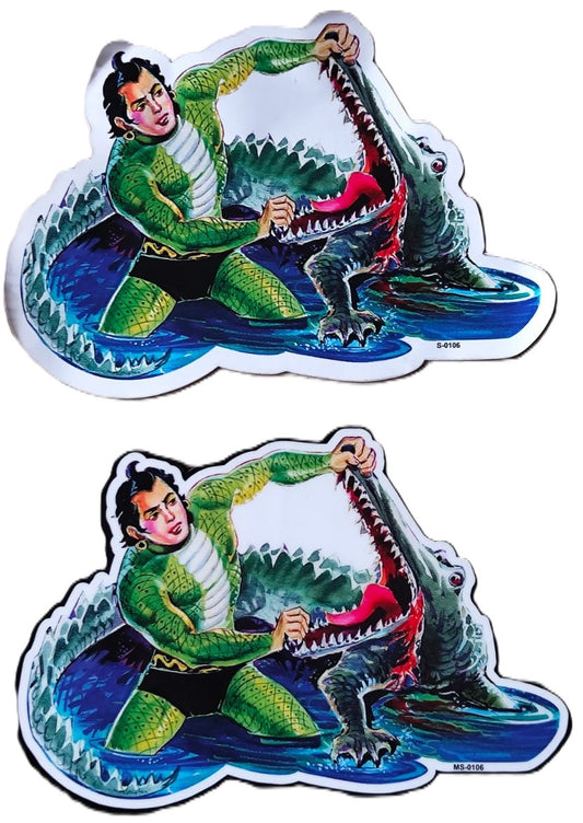 Nagraj Magnetic and Paper Sticker Combo 27