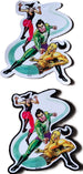 Nagraj Magnetic and Paper Sticker Combo 29